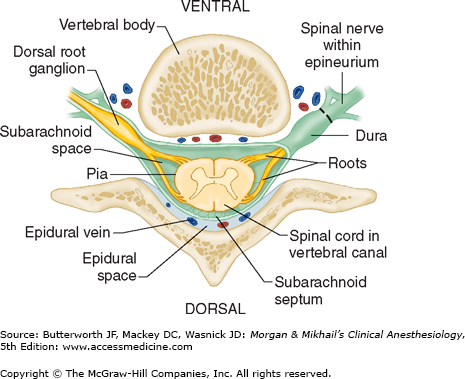 Spinal, Epidural, & Caudal Blocks | Anesthesia Key
