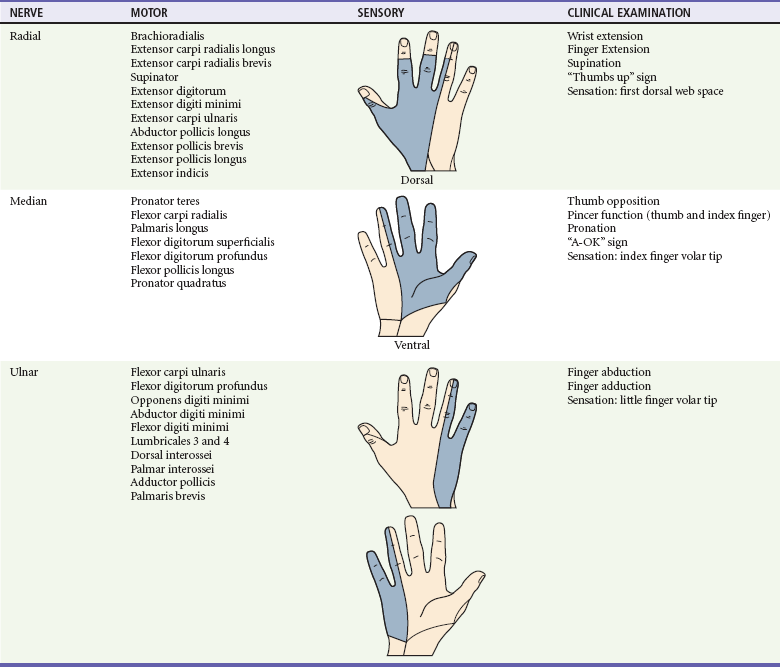 Wrist And Forearm Anesthesia Key