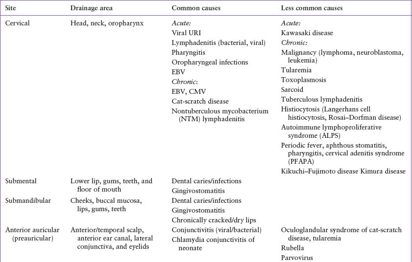 Lymphadenopathy Anesthesia Key