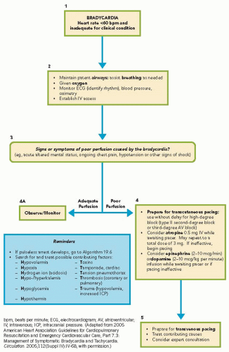 Part Management Of Symptomatic Bradycardia And Tachycardia Acls Images