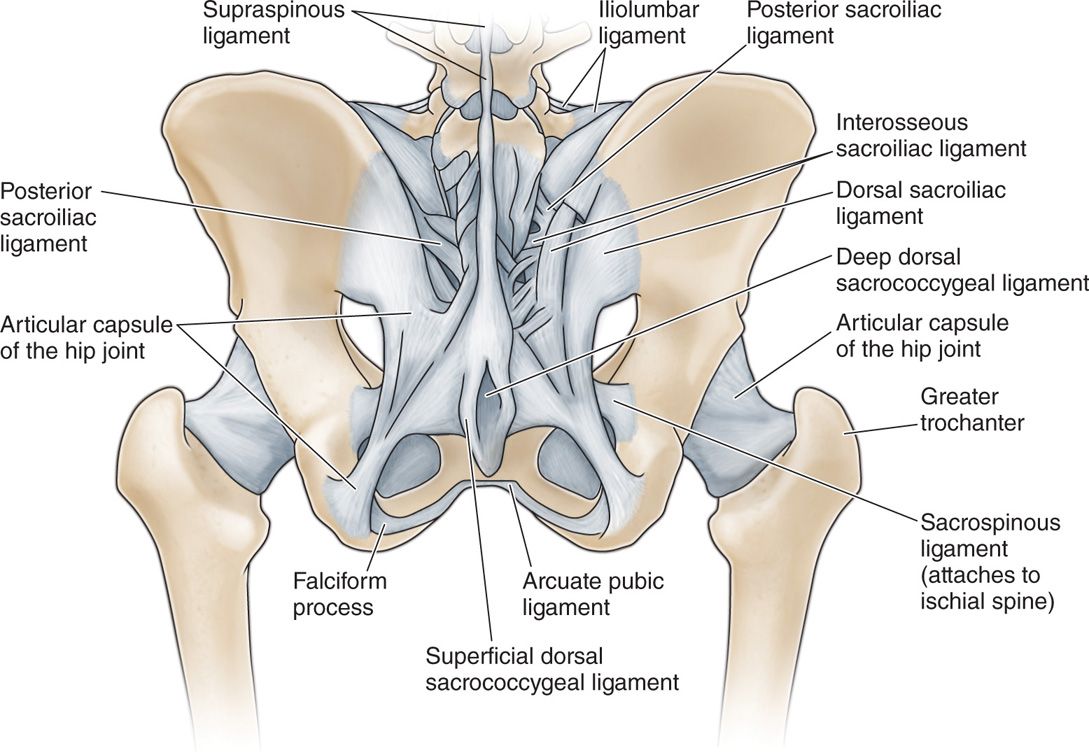 Sacroiliac Joint Injections Anesthesia Key