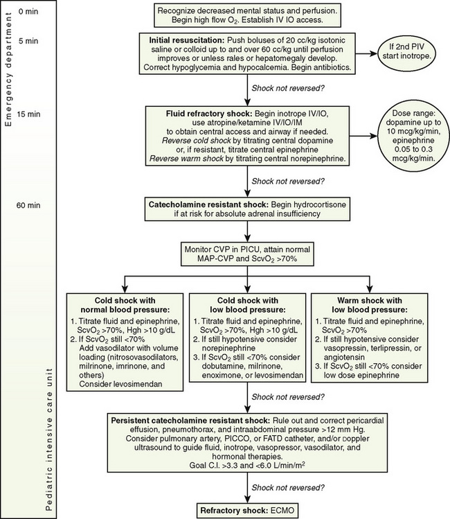 Critical Care Medicine Anesthesia Key