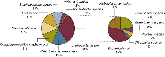 nosocomial-infection-in-the-intensive-care-unit-anesthesia-key