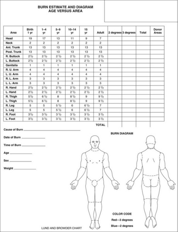 Lund And Browder Chart Printable