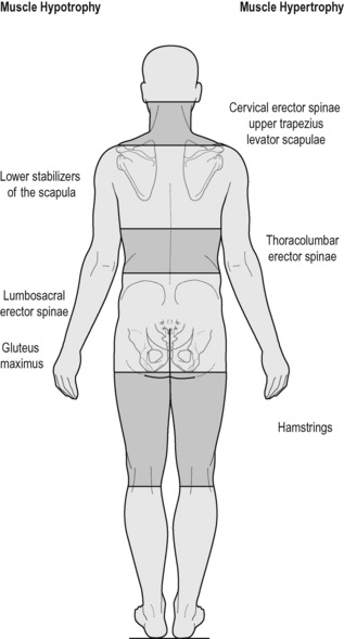 Adjunctive approaches and understanding and addressing breathing ...