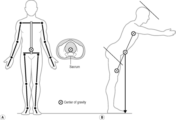 The Analysis Of Movement Anesthesia Key