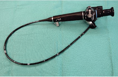 Flexible Endoscopic Intubation | Anesthesia Key