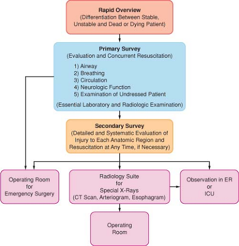 Trauma And Burns Anesthesia Key