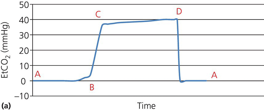 c6-fig-0002