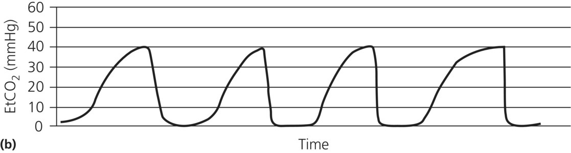 c6-fig-0002