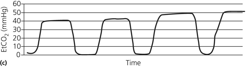 c6-fig-0002