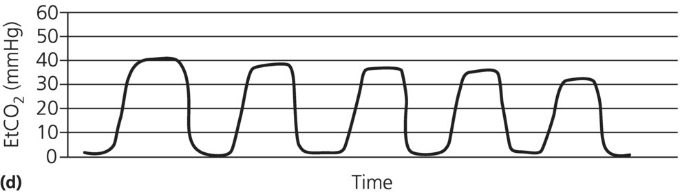 c6-fig-0002