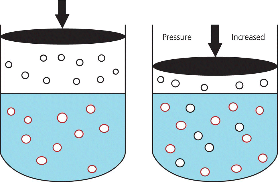 c52-fig-0002