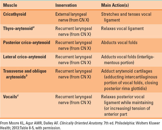 Airway Management | Anesthesia Key