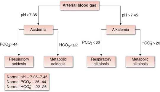 Fluids and Electrolytes | Anesthesia Key