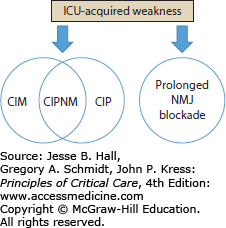 weakness acquired icu illness critical cip myopathy cim polyneuropathy intensive junction nmj neuromuscular unit care