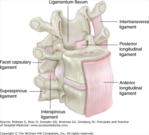 Acute Back Pain | Anesthesia Key