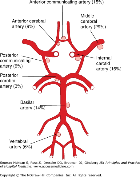 Intracranial Hemorrhage and Related Conditions | Anesthesia Key