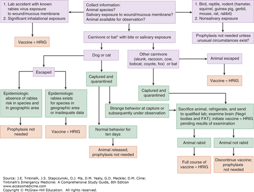 Rabies | Anesthesia Key