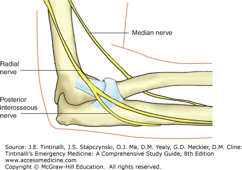 Elbow and Forearm Injuries | Anesthesia Key