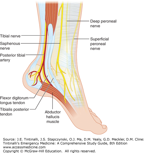 Ankle Injuries | Anesthesia Key