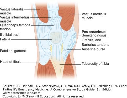 Hip and Knee Pain