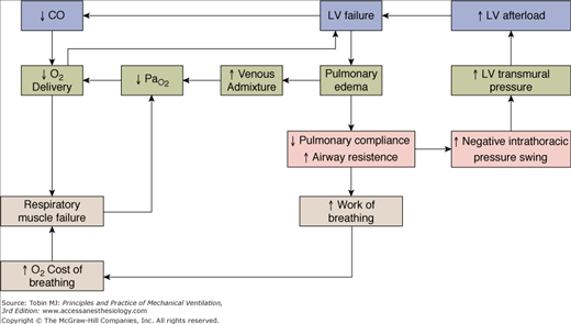 Positive End-Expiratory Pressure | Anesthesia Key