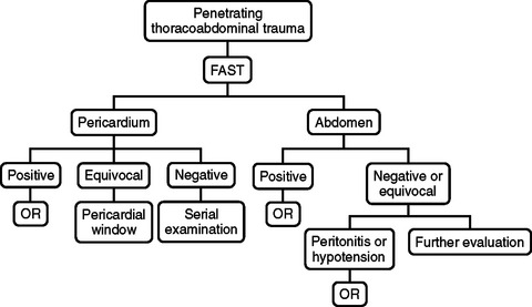 THE ROLE OF FOCUSED ASSESSMENT WITH SONOGRAPHY FOR TRAUMA: INDICATIONS ...