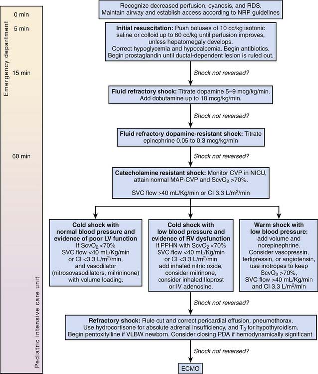 Shock States Anesthesia Key