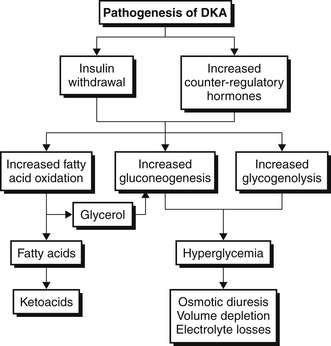 Pathophysiology Of Diabetic Ketoacidosis