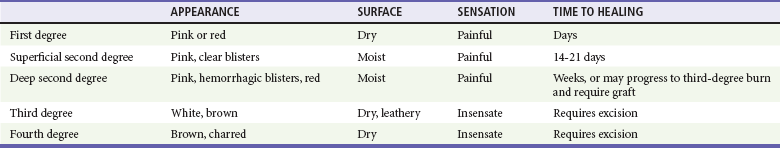 Thermal Burns | Anesthesia Key