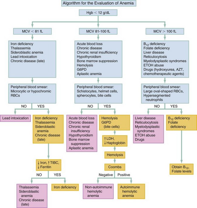 Anemia Of Chronic Disease Algorithm