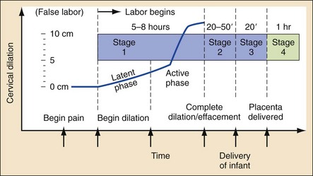 contraction timing active labor