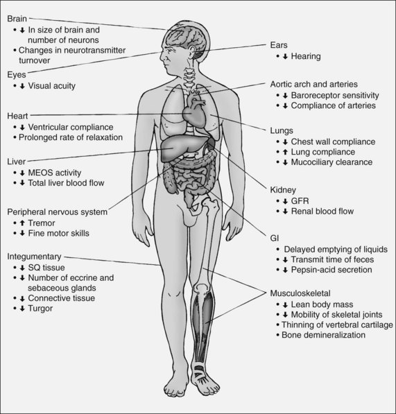 Geriatric Considerations in Emergency Nursing | Anesthesia Key