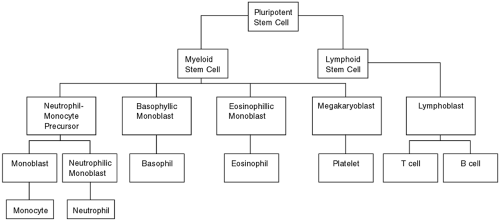 Lymphoma | Anesthesia Key