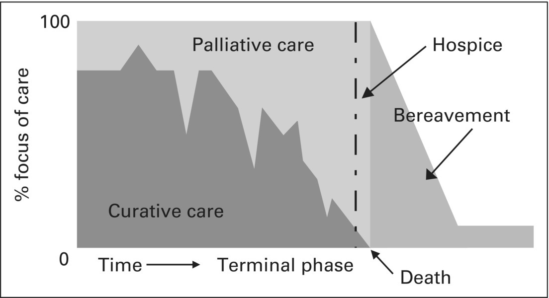 c1-fig-0001