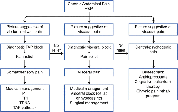 Chronic Abdominal Wall Pain: Diagnosis and Interventional