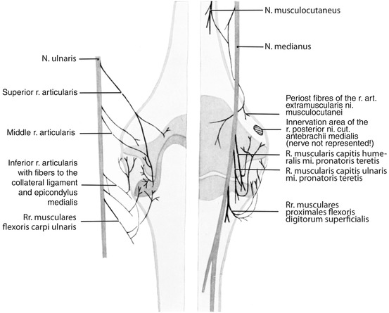 A322505_1_En_2_Fig1_HTML.jpg