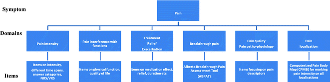 Pain Assessment Tools in Palliative Cancer Care | Anesthesia Key