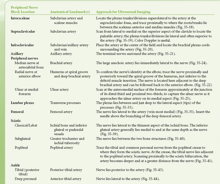 35 Peripheral Nerve Blockade | Anesthesia Key