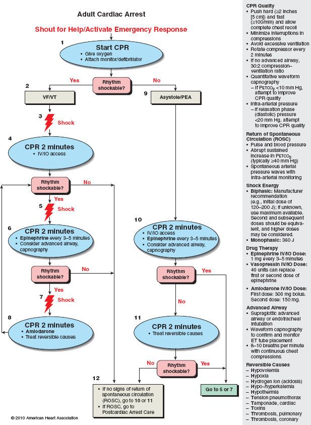 ACLS Cardiac Arrest VTach And VFib Algorithm ACLS Medical, 50% OFF