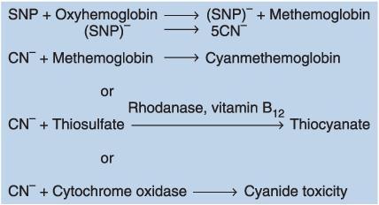 methylene blue antidote cyanide poisoning