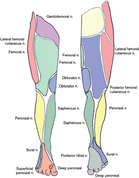 Ankle fracture | Anesthesia Key