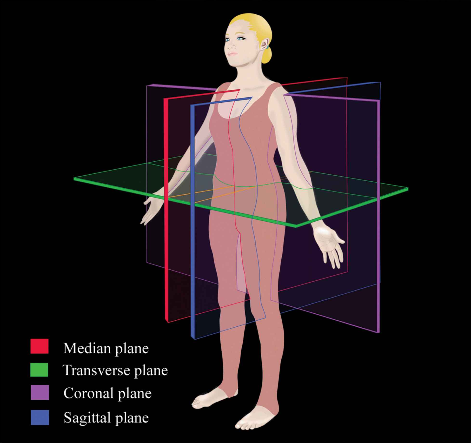 Spinal Sonography And Considerations For Ultrasound Guided Central 