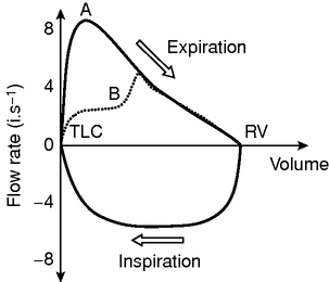 Scientific principles | Anesthesia Key