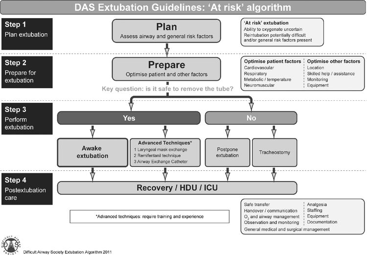 Difficult Airway Society DAS Guidelines Anesthesia Key Difficult Airway Society DAS Guidelines Anesthesia Key