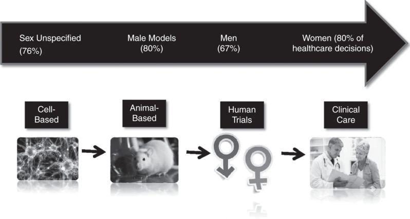 Sex And Gender In Medical Education: The Next Chapter | Anesthesia Key