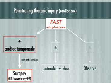 Including EFAST In Trauma Algorithms: When? What Now? | Anesthesia Key