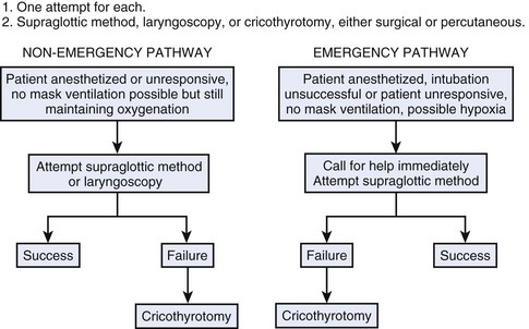 Percutaneous Dilational Cricothyrotomy And Tracheostomy | Anesthesia Key