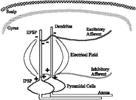 A210707_2_En_10_Fig2_HTML.gif